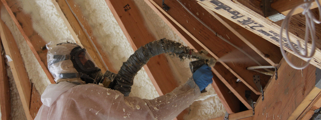 Savannah Georgia Attic Insulation Spray Foam